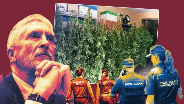 marihuana comisarías y cuarteles