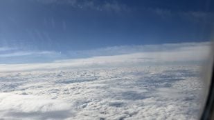 Starlink