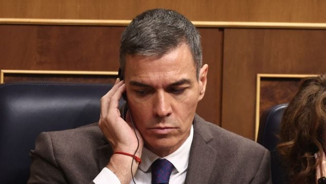 Sánchez catalán