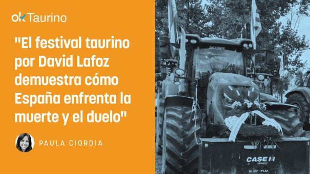 David Lafoz Chinchón, Paula Ciordia