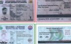 Palma carnet falso