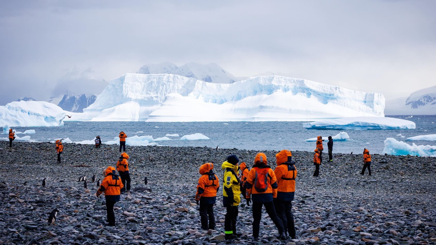 Expedición en la Antártida.