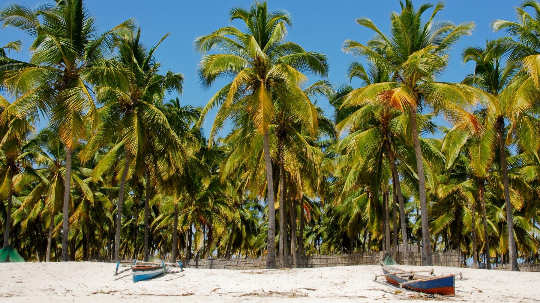 Mozambique.