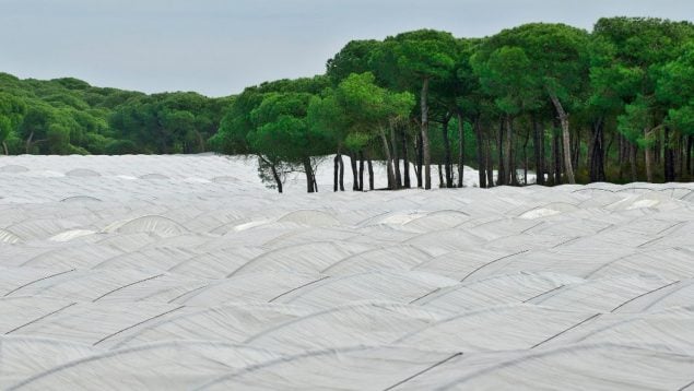 Agricultores Doñana