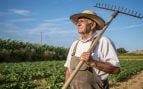 Agricultor, campo