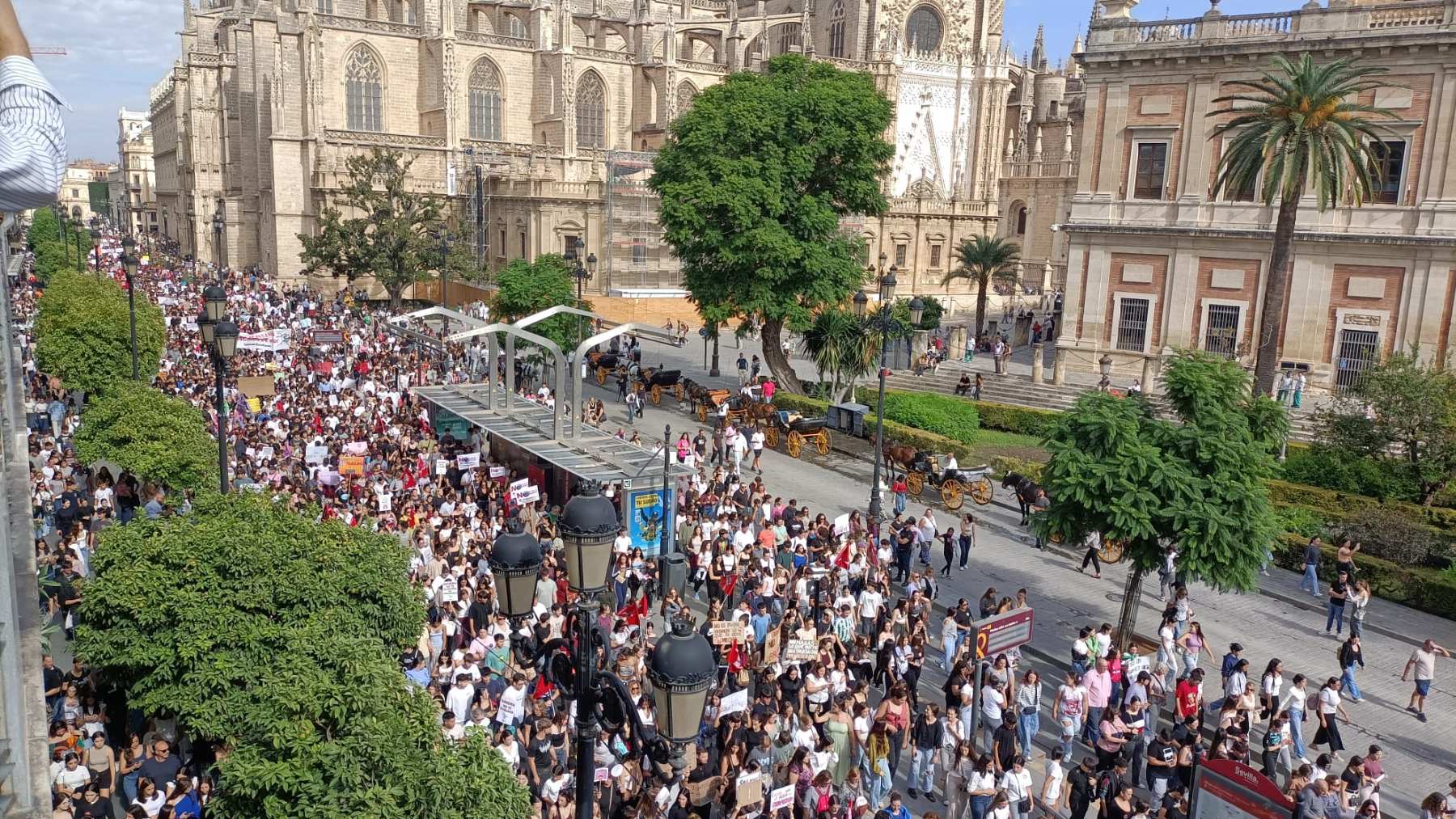 Sevilla se manifiesta por Sandra.