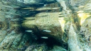 Mar, fallas, terremotos, curiosidades