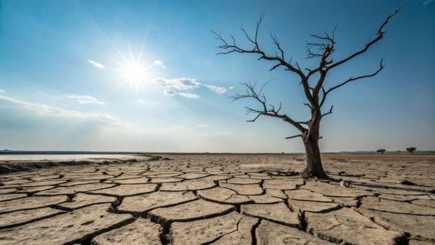 El aumento de las sequ&iacute;as es una de las principales consecuencias del cambio clim&aacute;tico. Generado por IA.