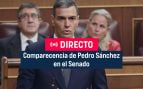 Pedro Sánchez directo Senado