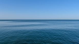Gran Cinturón Atlántico de Sargazo, científicos alertan de mancha marrón en el océano, algas gigantes en el océano atlántico, mancha de sargazo y cambio climático.