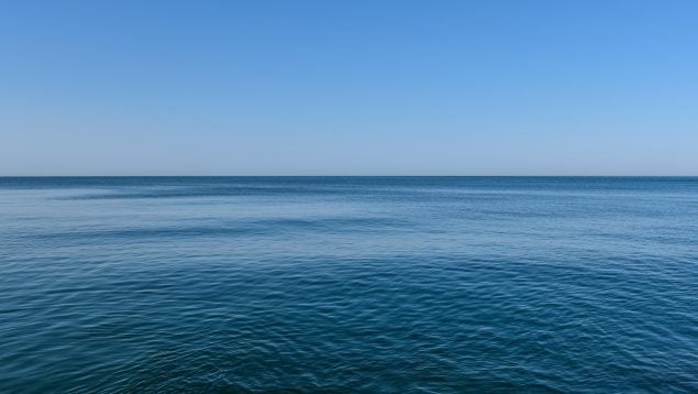 Gran Cinturón Atlántico de Sargazo, científicos alertan de mancha marrón en el océano, algas gigantes en el océano atlántico, mancha de sargazo y cambio climático.