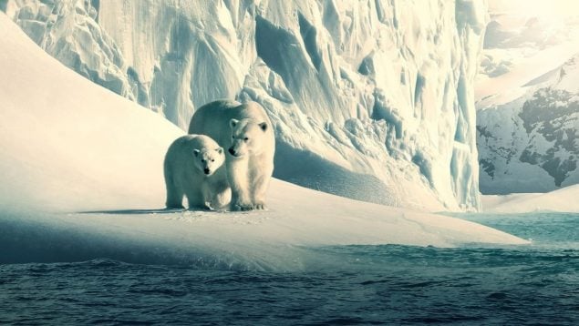 mejor valorado Netflix documental