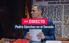 Sánchez comparece en el Senado.