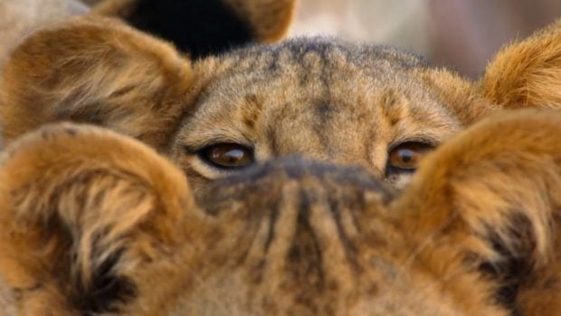 mejor valorado Netflix documental