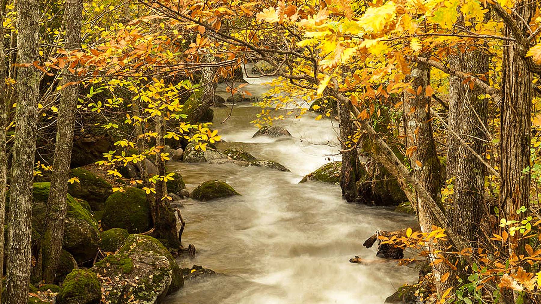 Hay un lugar del mundo donde el otoño es Fiesta de Interés Turístico Internacional, y está a 2 horas de Madrid