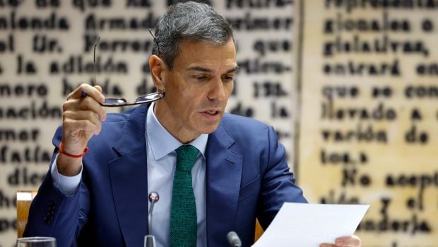 Pedro Sánchez gafas