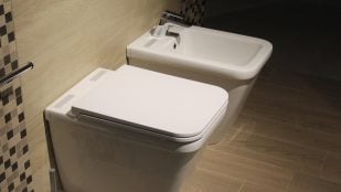 Cómo se dice bidé según la RAE, bidé o bidet, cómo escribir bidet en español, bidé en español, bidé en castellano.