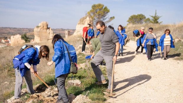plantación corporativa