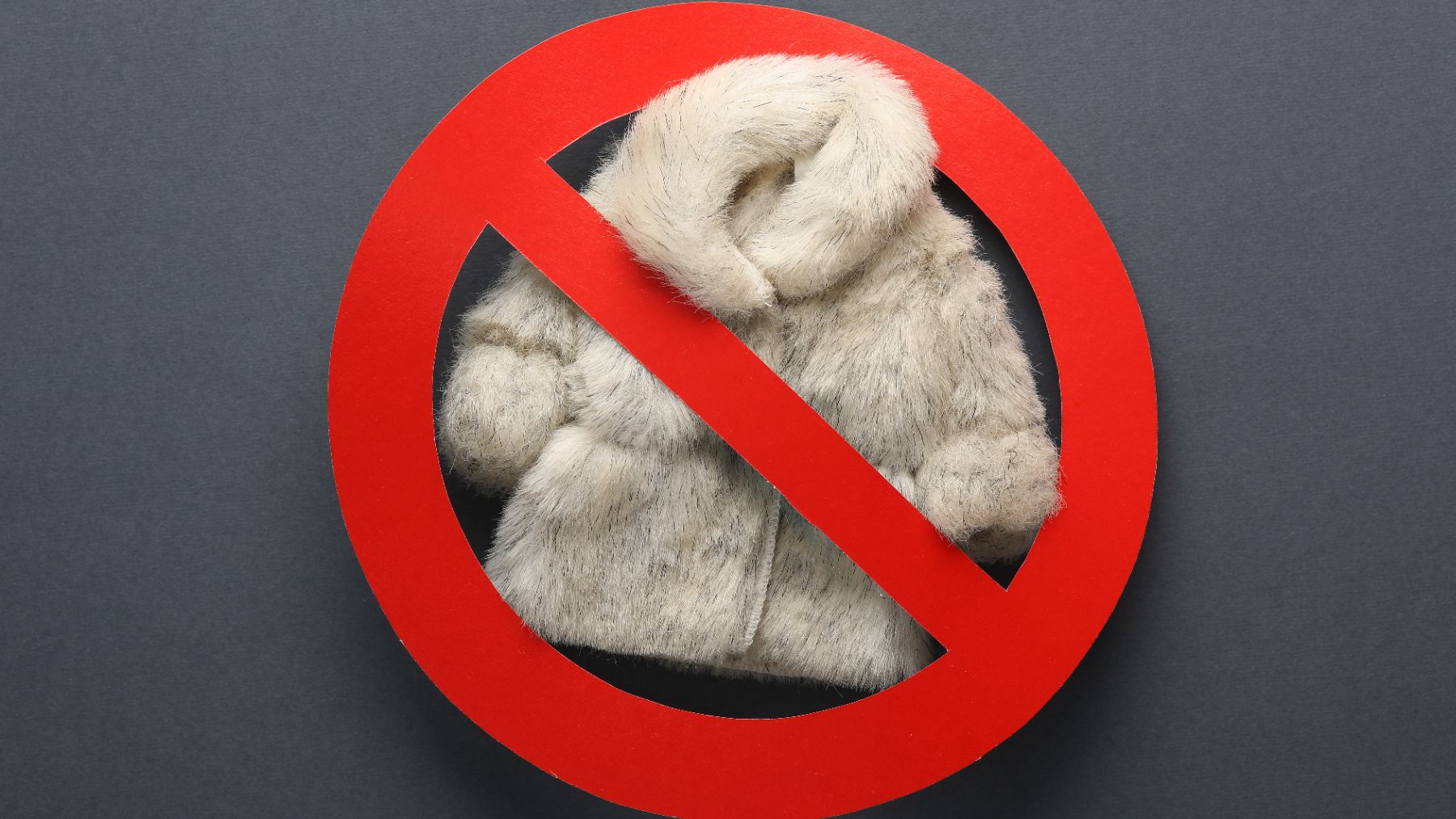 Condé Nast ha anunciado que sus publicaciones, entre las que se encuentra Vogue, dejarán de ofrecer contenidos sobre pieles de animales.