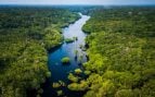 Amazonas brasileño.