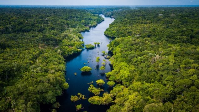 Amazonas brasileño.