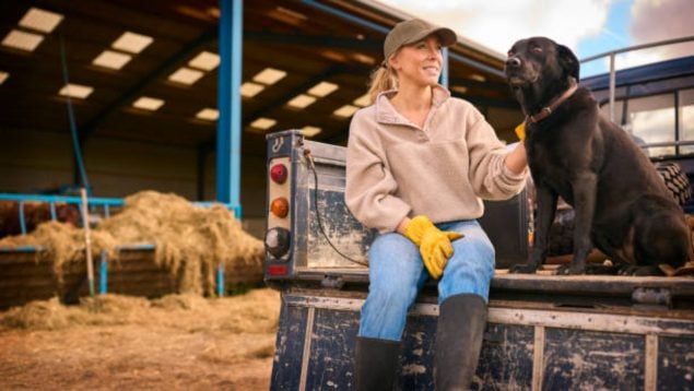 Hacienda dueños perros