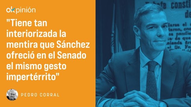 Sánchez, Pedro Sánchez, PSOE