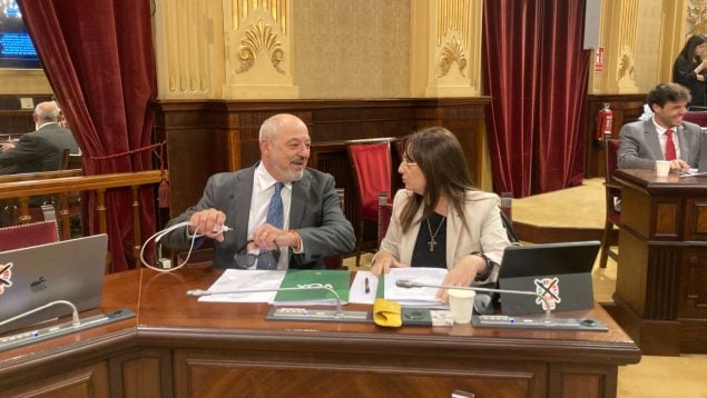 Vox acusa al PP de «juego sucio» tras tumbar su propuesta de vehicularidad del español en la educación