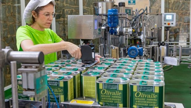 Producción aceite de oliva de Agricultura ecológica