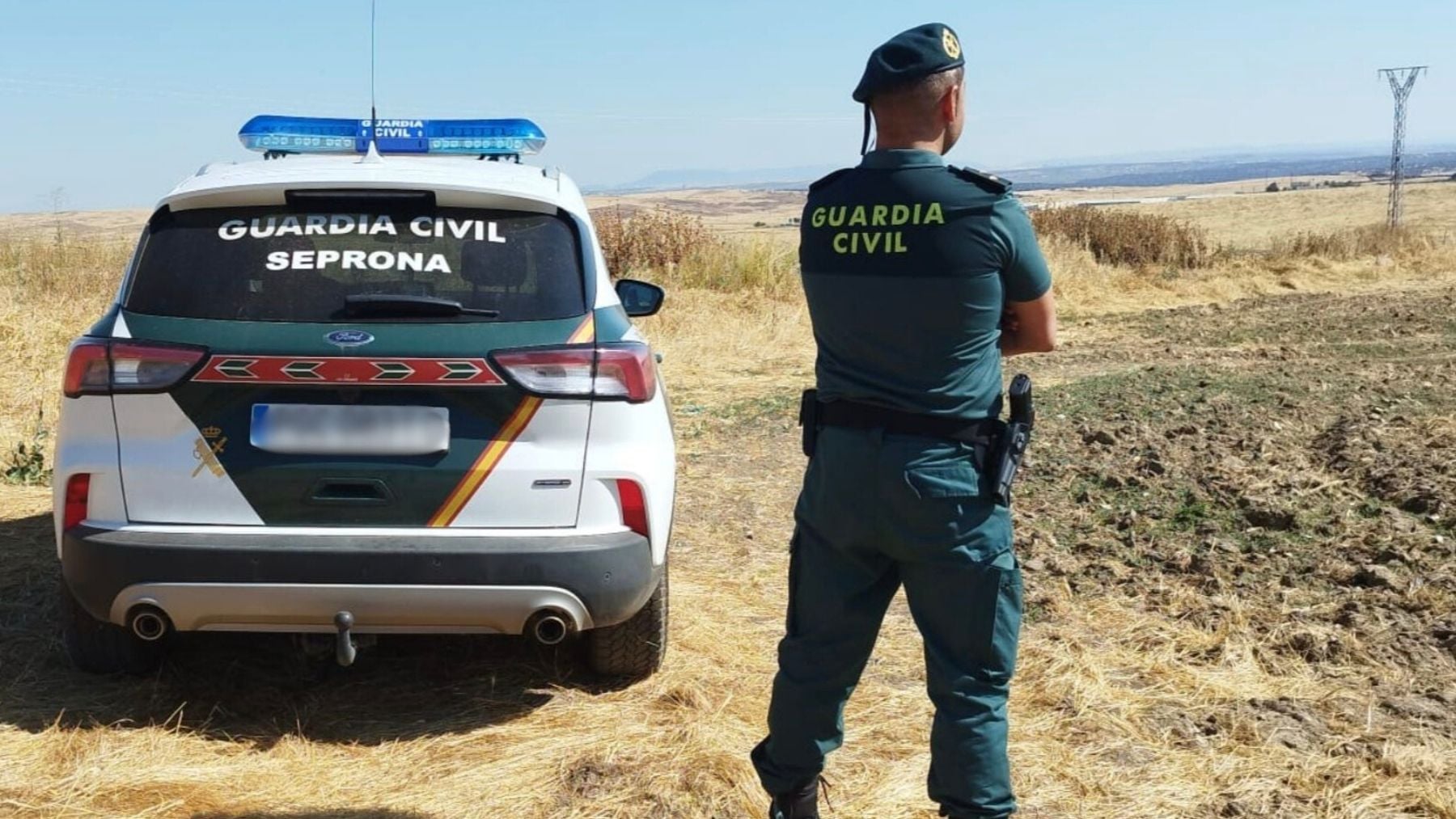 Un toro se escapa y desata el caos en Collado Villalba: dos heridos han tenido que ser hospitalizados