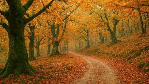 Extremadura, senderismo, Castañar Gallego, turismo, viajes