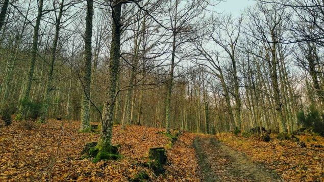 Pueblecito de Extremadura