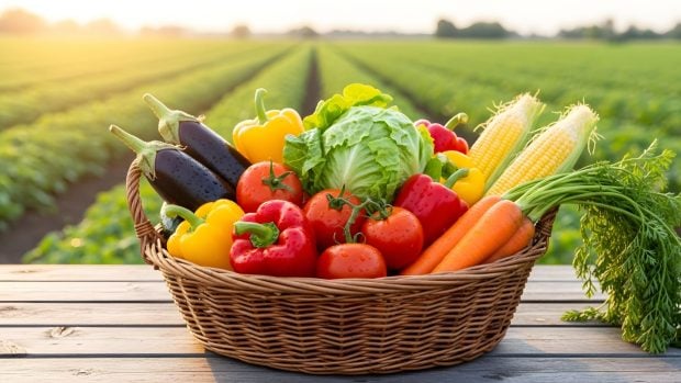Verduras recién cosechadas en una cesta de mimbre sobre una mesa de madera con un exuberante campo verde al fondo. Generado por IA.