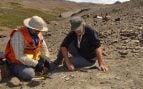 Hallazgo del fósil del mamífero más antiguo de Chile, descubren fósil de molar de la Patagonia prehistórica, mamífero molar en Chile.