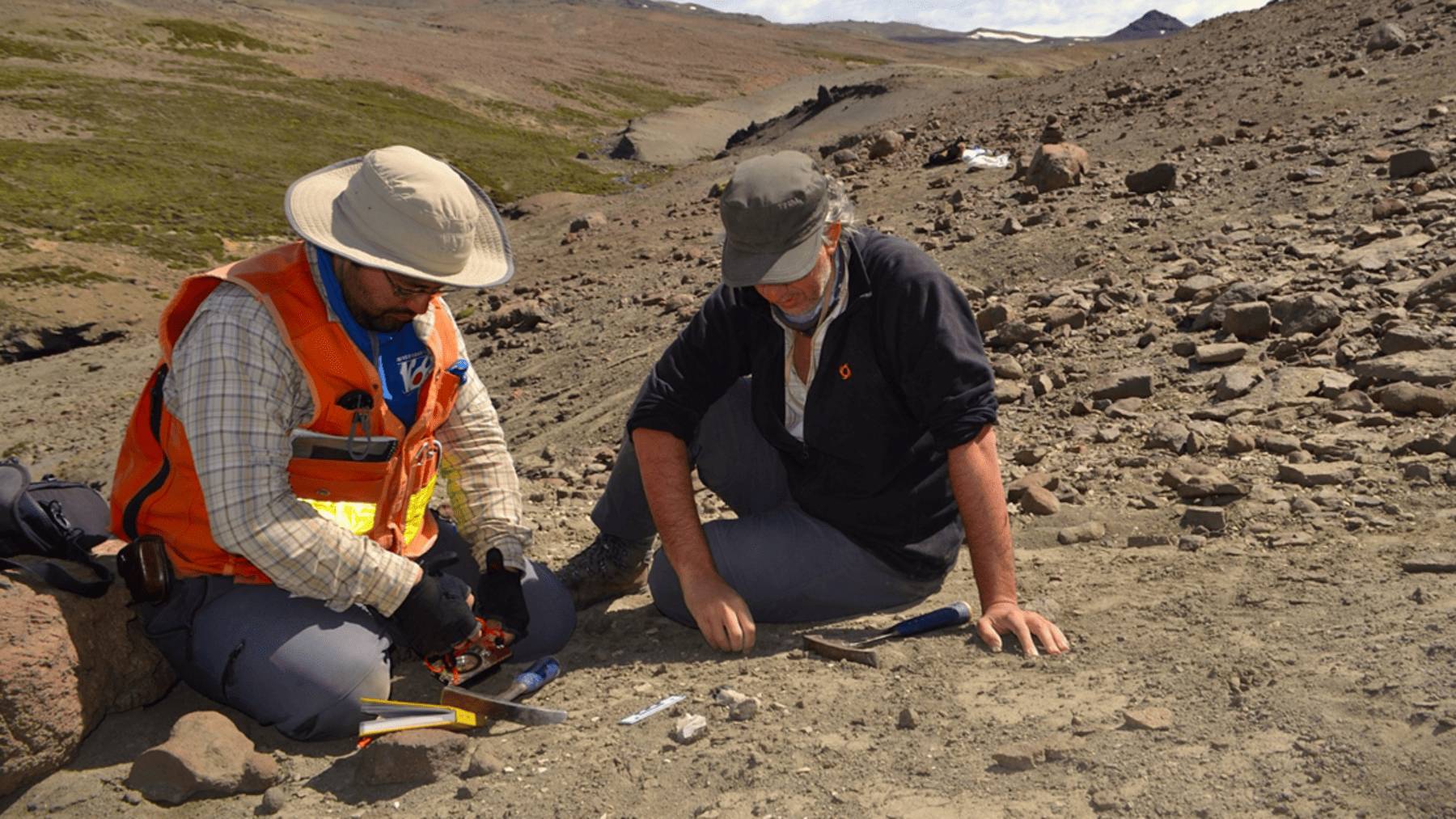 Hallazgo paleontológico en Chile. Foto: Sernageomin.