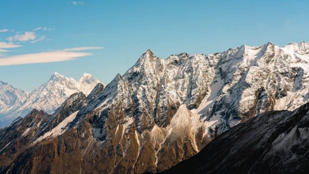 Descubren un nuevo animal en el Himalaya, encuentran nuevo lagarto en el Himalaya, animales del himalaya, descubrimiento zoológico.