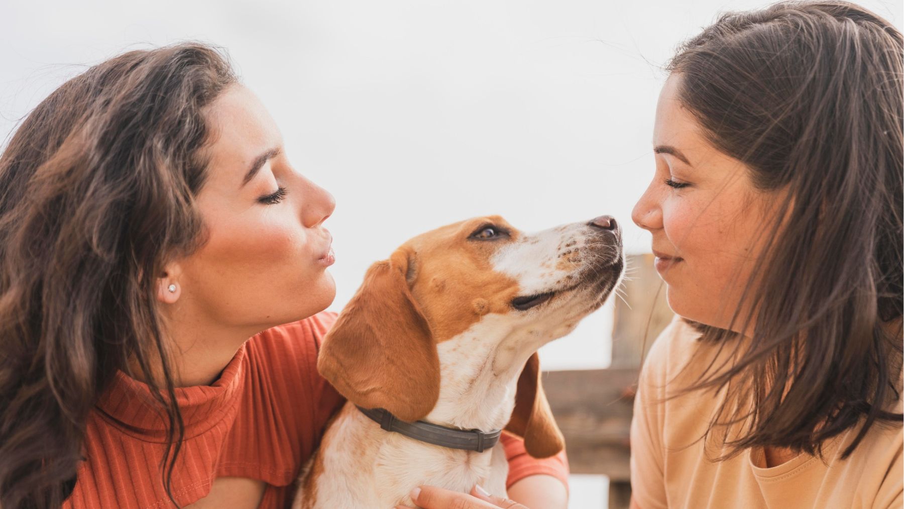 Un perro con sus dueñas. Foto: Freepik