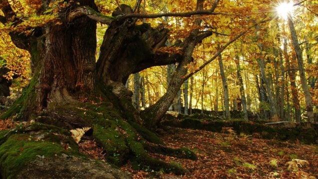 Pueblecito extremeño