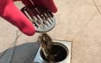 El desagüe de la ducha