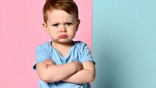 Inteligencia emocional