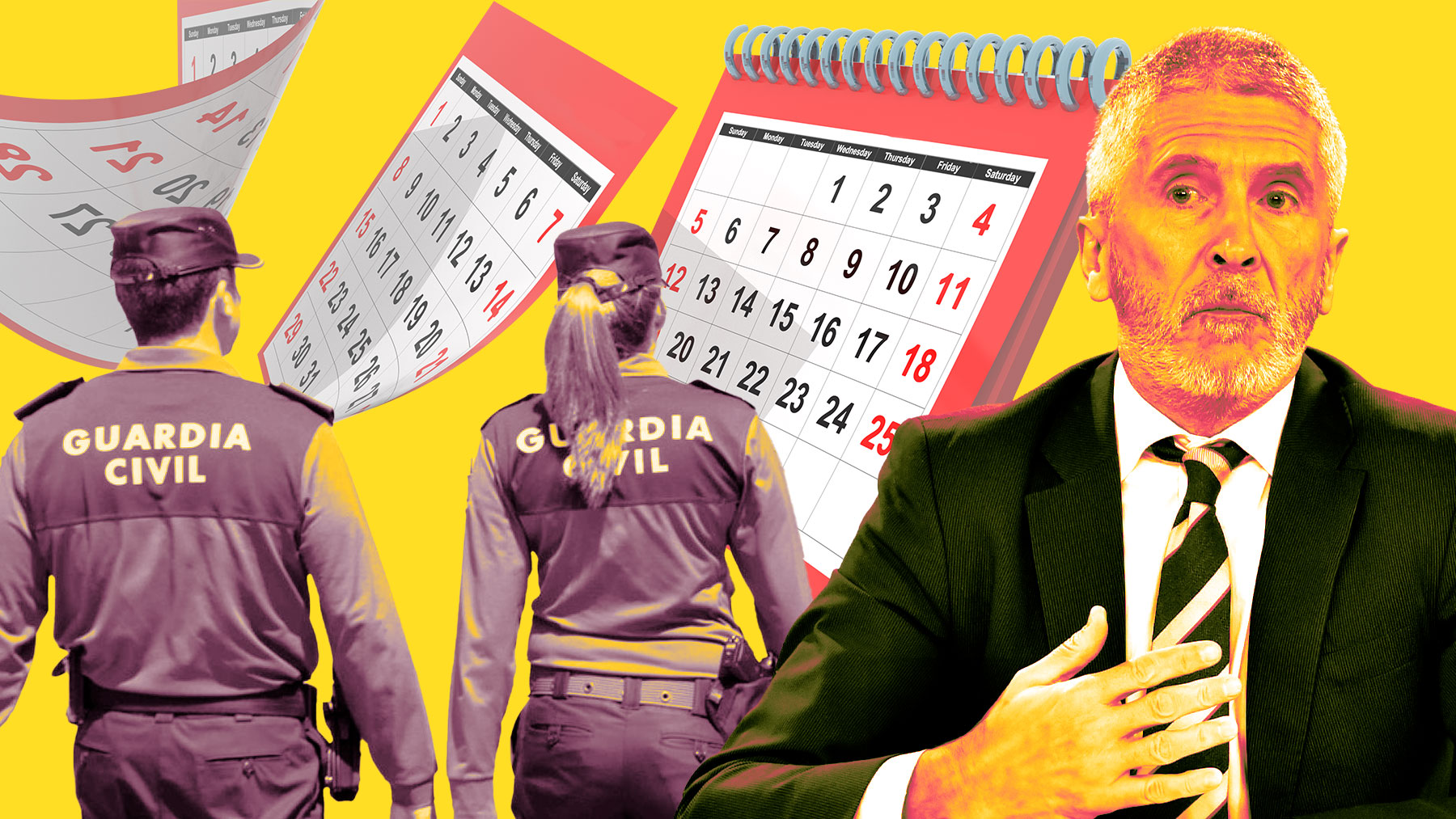 Fernando Grande-Marlaska, ministro del Interior.