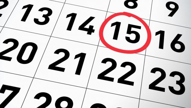 El puente en noviembre