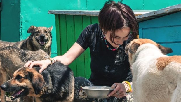 Voluntaria de un refugio atendiendo a mascotas abandonadas. 