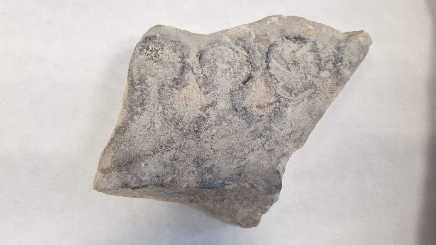 Molde de piedra descubierto en el yacimiento de Obulco en Porcuna. Foto: UJA