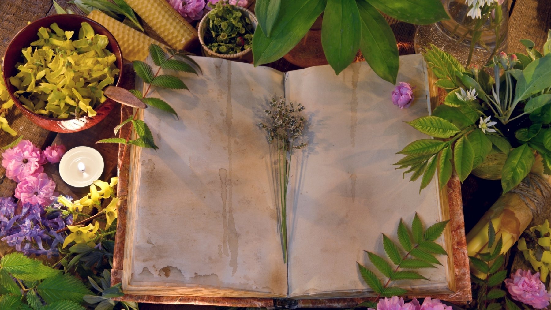 Rituales del portal 11 del 11: aprovecha la energía, el poder y prepárate para cambiar tu vida