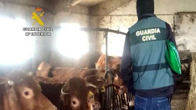 condenado, vaca, lugo, sexual, actos sexuales, sentencia, juzgado