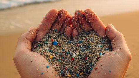 Microplásticos en la playa. Foto: ilustración propia.