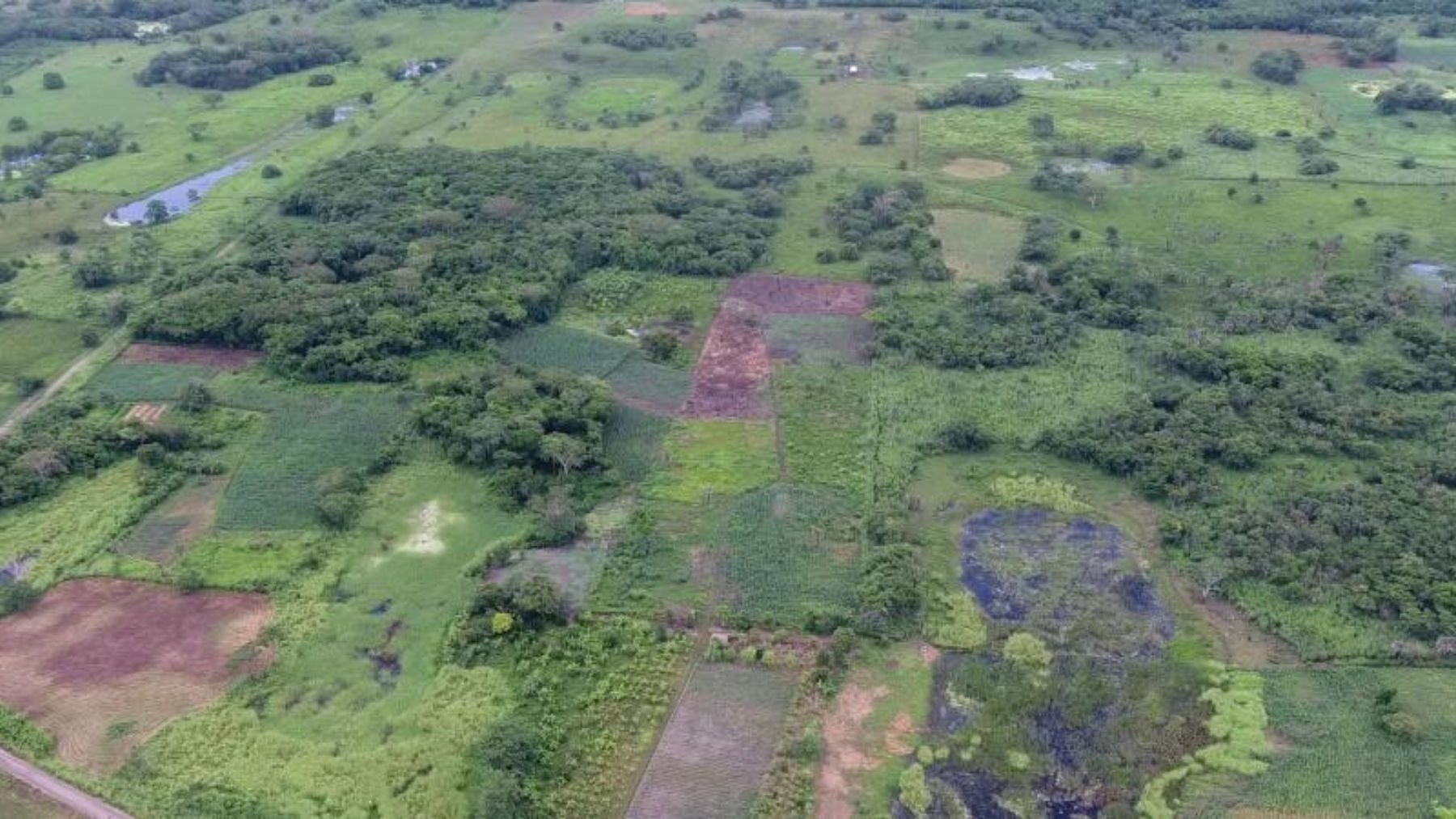 Vista aérea de Aguada Fénix en México. Foto: Wikimedia Commons / Takeshi Inomata / CC BY-SA 4.0