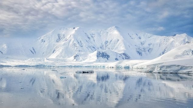 Descubren 1.000 peces idénticos bajo el hielo de la Antártida, misterios científicos en la Antártida, descubrimientos científicos en la Antártida, zoología de la Antártida.