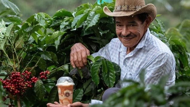 Cómo se dice sudamericano o suramericano según la Real Academia Española, sudamericano o suramericano según la RAE, suramericano es correcto, expresiones correctas según la RAE.